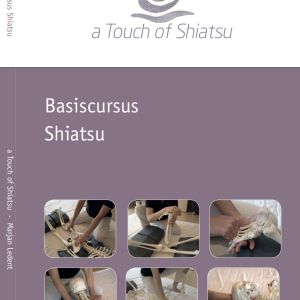 Handboek basiscursus shiatsu