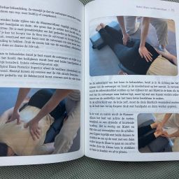 Handboek deel B “Shiatsu, Qi en het meridiaanstelsel”