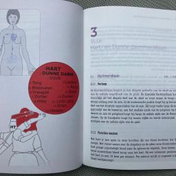 Handboek deel B “Shiatsu, Qi en het meridiaanstelsel”