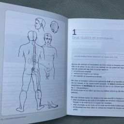 Handboek basiscursus shiatsu
