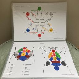 Meridiaankaarten en werkfiches / totaal pakket