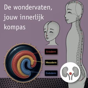 De wondervaten, jouw innerlijk kompas