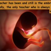 De wijsheid van het embryo in ons