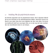 Handboek: Cranio-sacraal werk  (theorie)