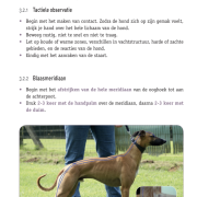 Handboek: Introductie hondenshiatsu