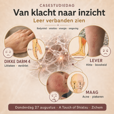 Casestudiedag                   Leer verbanden zien