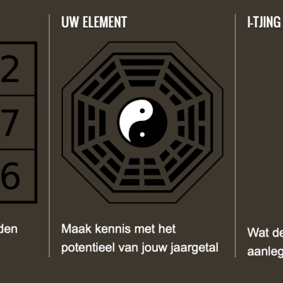 Ontdek jouw essentie via Nine Star Ki